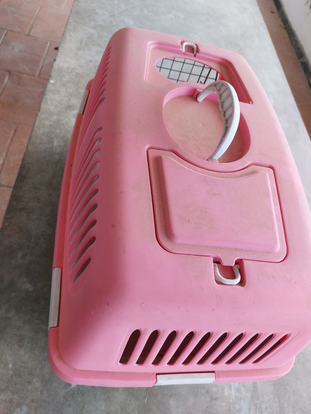 Transportin/jaula animales