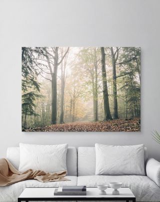 Bosque. Cuadro/Lienzo (sin bastidor)