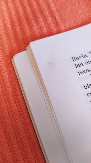 Libro El Principito 