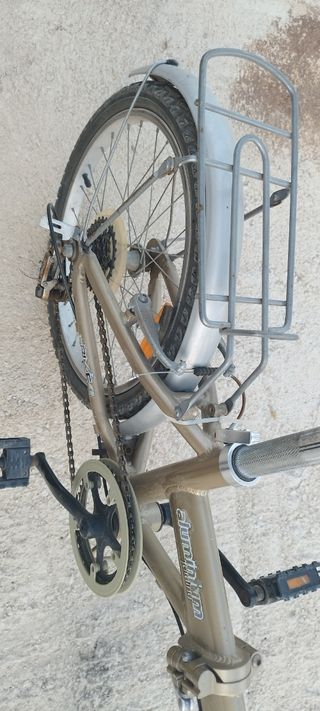 Bicicleta plegable 