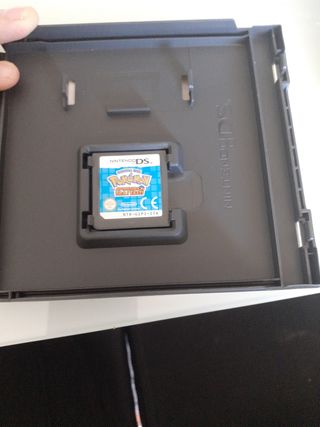 Gioco Pokemon Nintendo
