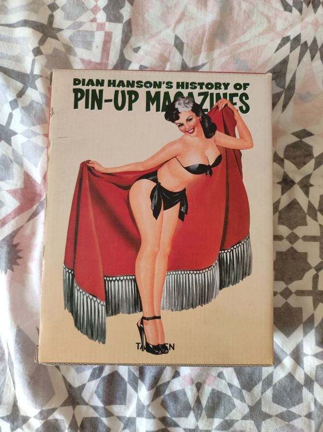 Libri Pin Up