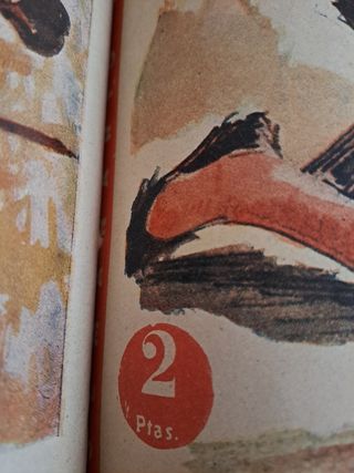 Revista El Ruedo encuadernado