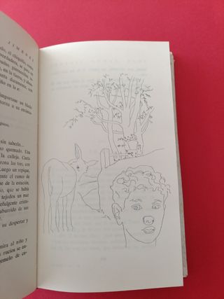 Libro Platero y yo