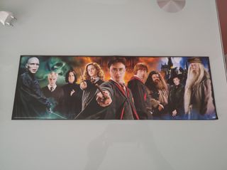 Póster Harry Potter