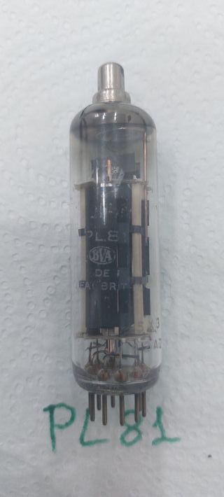 VÁLVULA TERMOIONICA PL81, TUBO PL81