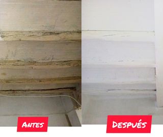 ‼️PINTORES por Alcoy ‼️BARATOS‼️