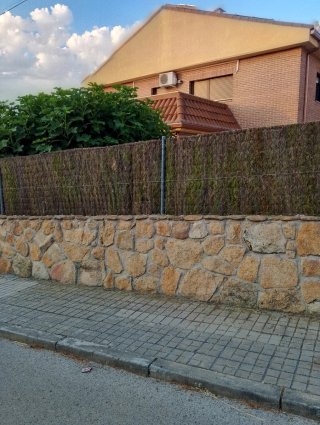 Reformas En General