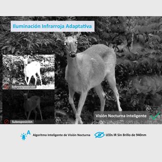 ★ Câmara Caza 4G LTE H.265 + App + Tarjeta SIM