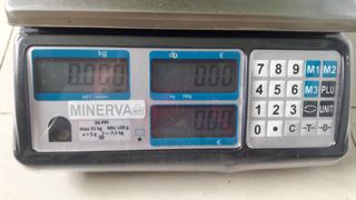 Bascula profesional EPELSA 56PPI TPV