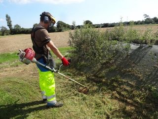 Jardinero particulares y empresas.