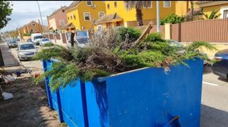 Jardinero particulares y empresas.