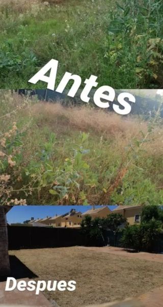 Jardinero particulares y empresas.