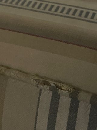 Puff. Asiento tapizado. Con contenedor Zapatero