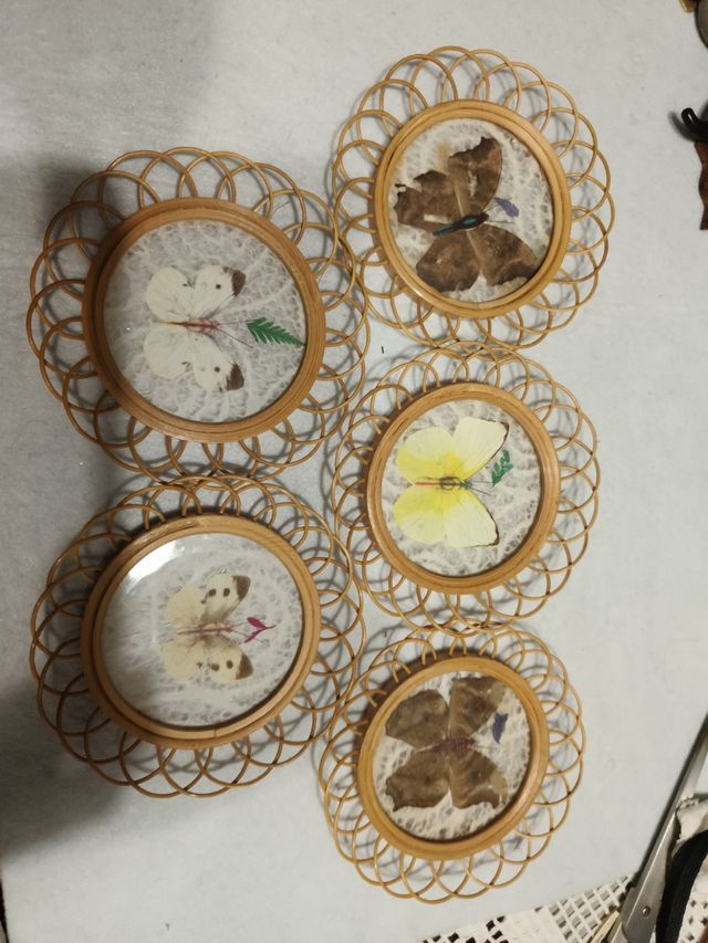 Sottobicchieri farfalle