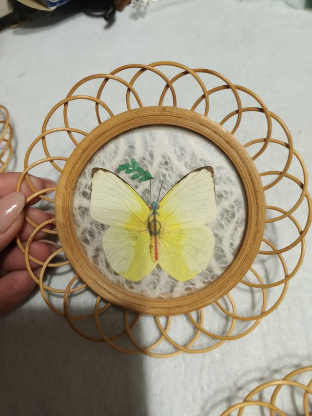 Sottobicchieri farfalle