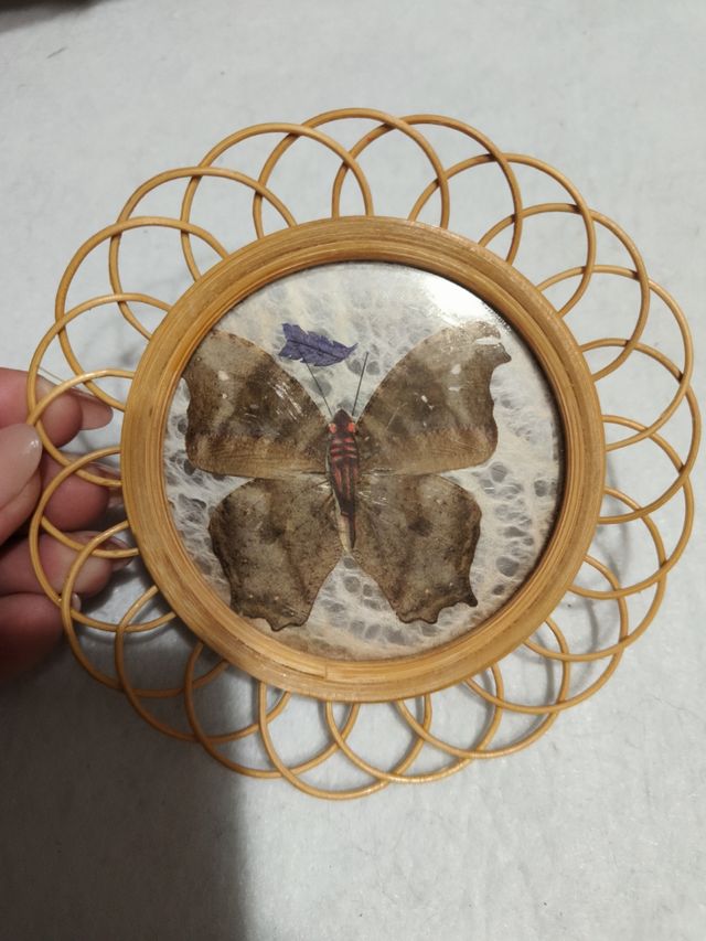 Sottobicchieri farfalle