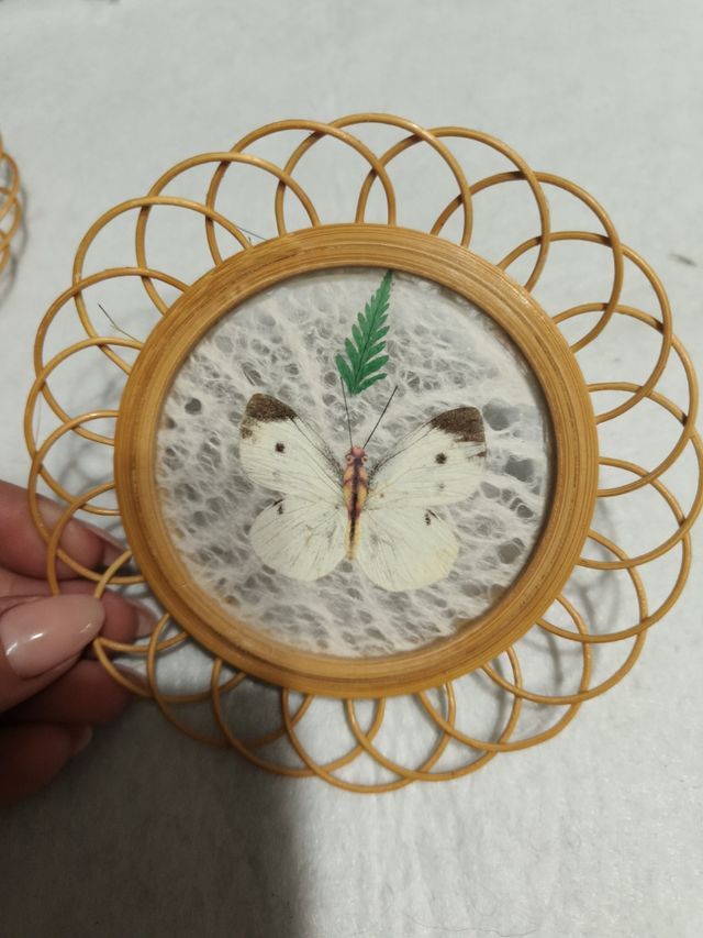 Sottobicchieri farfalle