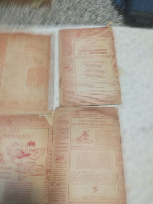 Cuentos antiguos en francés