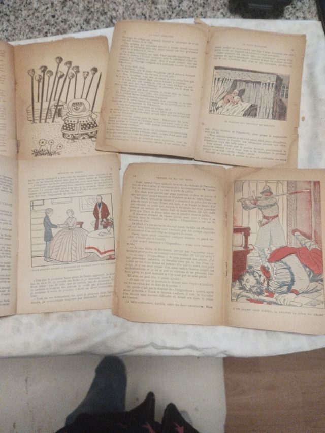 Cuentos antiguos en francés