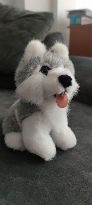 PELUCHE PERRO HUSKY
