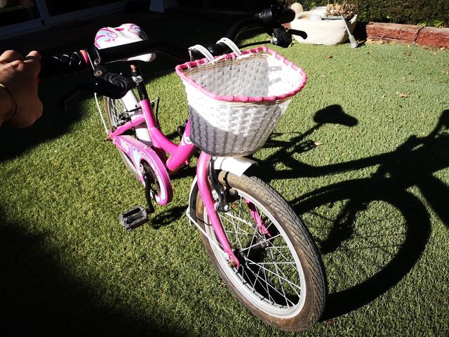 Bici 16 pulgadas con cesta