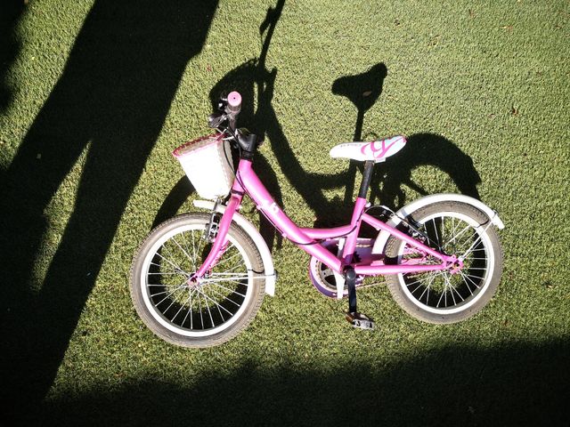 Bici 16 pulgadas con cesta