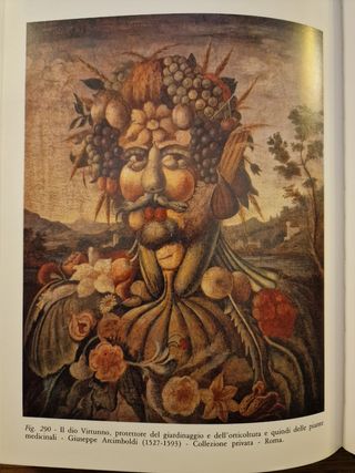 Libro di Giuseppe Penso "Le piante medicinali"