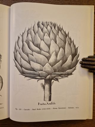 Libro di Giuseppe Penso "Le piante medicinali"