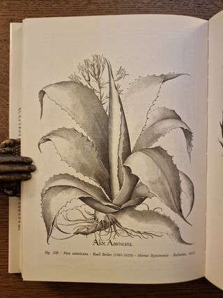 Libro di Giuseppe Penso "Le piante medicinali"