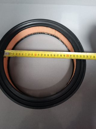 Filtro de aire Renault Fuego