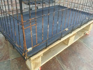 Jaula Transportin parque perros conejos