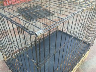 Jaula Transportin parque perros conejos