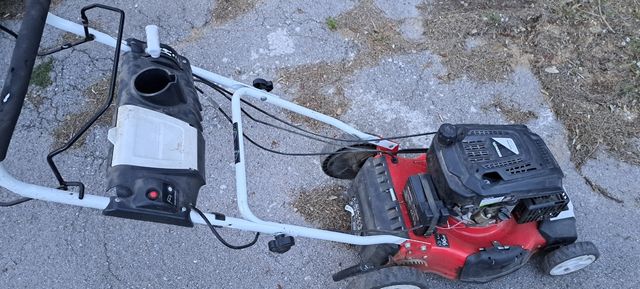 desbrozadora de césped