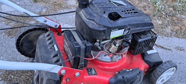 desbrozadora de césped