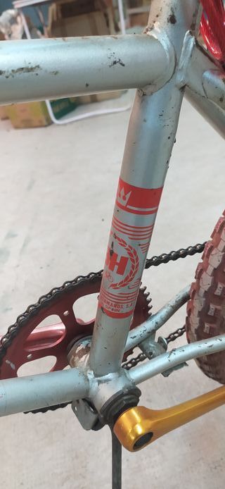 Bh California Star Original