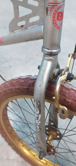 Bh California Star Original