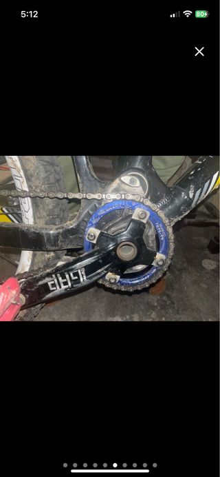 Saracen worlcup