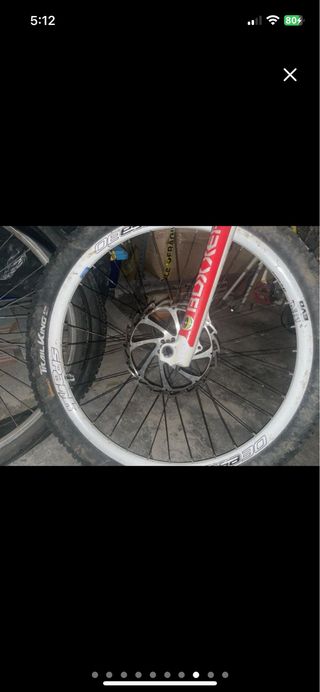 Saracen worlcup