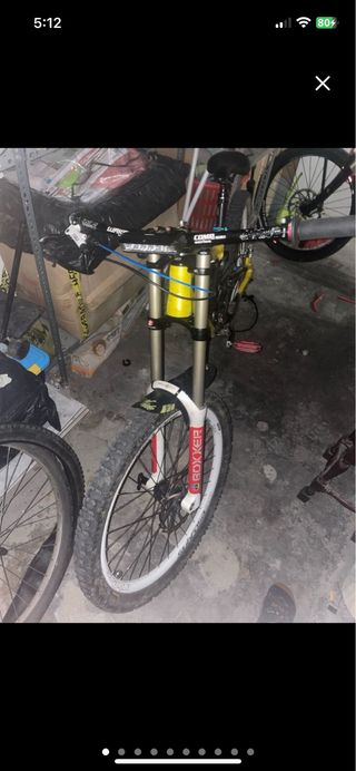 Saracen worlcup