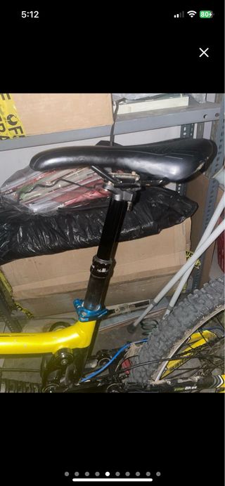Saracen worlcup