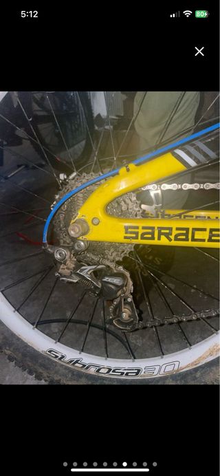 Saracen worlcup