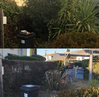 Jardinero economíco