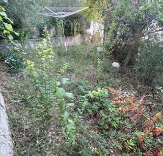 Jardínero económico 