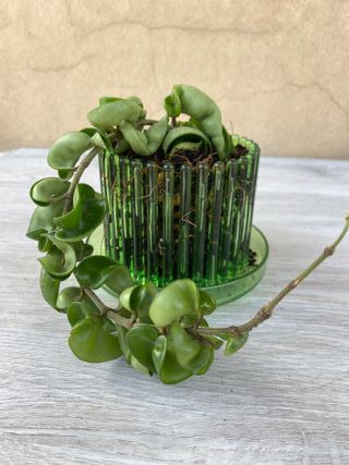 Set vaso da orchidee con sottovaso Orchitop small