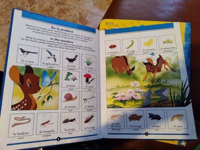 Libros infantiles ingles/ español
