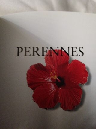 Libro Guía de bolsillo Perennes