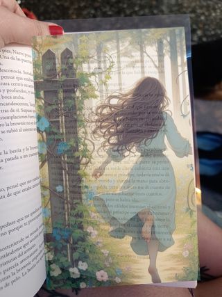 Transparencias Acotar