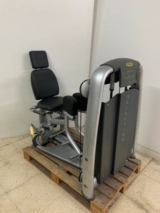 Technogym máquina adductor. Seminueva.