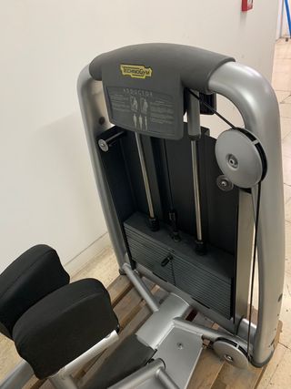 Technogym máquina adductor. Seminueva.